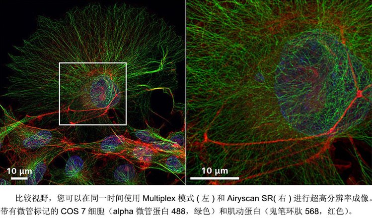 驻马店共聚焦显微镜