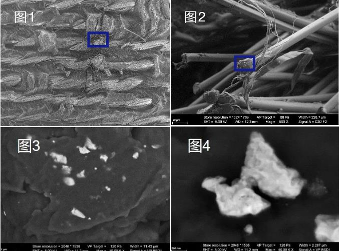 驻马店蔡司驻马店扫描电镜